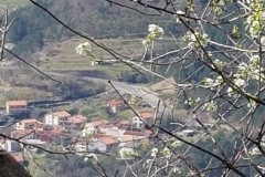 20190331_104742