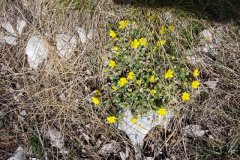 20190331_110432