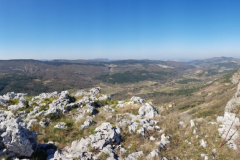 20190331_111120