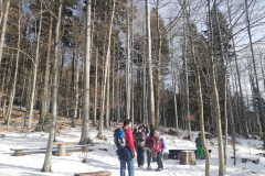 IMG_20190113_121606