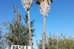 img-20181017-wa0002