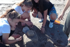img-20181017-wa0024